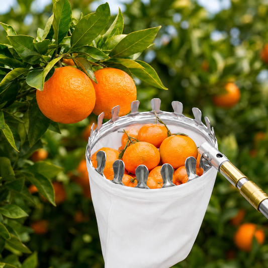 Fruit Picker Tool with Collection Bag – Extendable Pole for Easy Fruit Harvesting